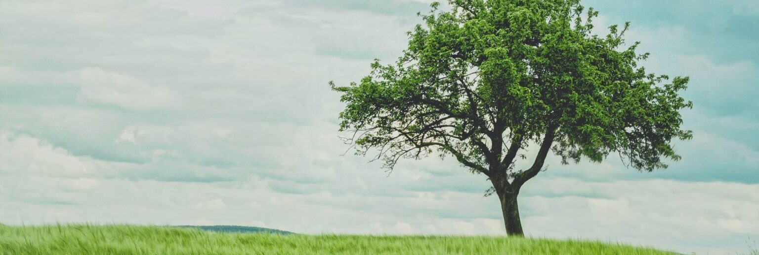 Dienstleistungen - Verband BodenSchweiz 11